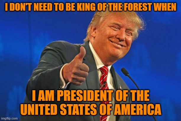 Trump winning smarmy grinning | I DON'T NEED TO BE KING OF THE FOREST WHEN I AM PRESIDENT OF THE UNITED STATES OF AMERICA | image tagged in trump winning smarmy grinning | made w/ Imgflip meme maker