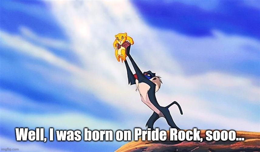 Lion King Rafiki Simba | Well, I was born on Pride Rock, sooo... | image tagged in lion king rafiki simba | made w/ Imgflip meme maker