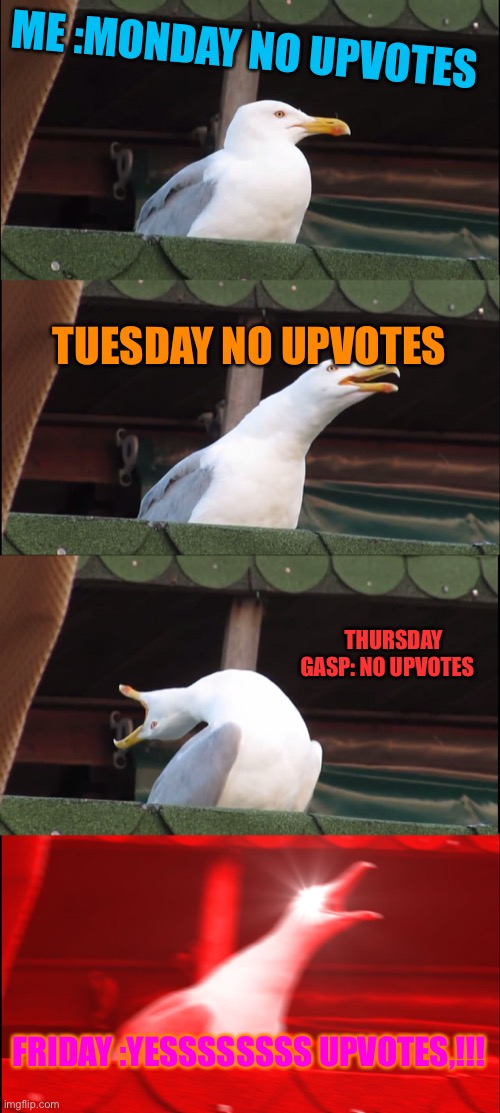Upvotes?? I’m not a beggar | ME :MONDAY NO UPVOTES; TUESDAY NO UPVOTES; THURSDAY  GASP: NO UPVOTES; FRIDAY :YESSSSSSSS UPVOTES,!!! | image tagged in memes,inhaling seagull | made w/ Imgflip meme maker