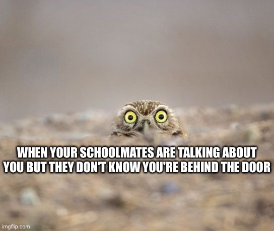Eavesdropping Owl | WHEN YOUR SCHOOLMATES ARE TALKING ABOUT YOU BUT THEY DON'T KNOW YOU'RE BEHIND THE DOOR | image tagged in eavesdropping owl | made w/ Imgflip meme maker