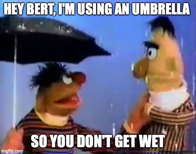 masks | HEY BERT, I'M USING AN UMBRELLA; SO YOU DON'T GET WET | image tagged in umbrella | made w/ Imgflip meme maker