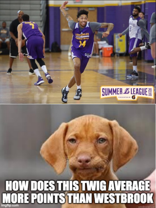 Brandon Ingram, THE FIERCE TWIG | image tagged in nba,disappointed dog | made w/ Imgflip meme maker