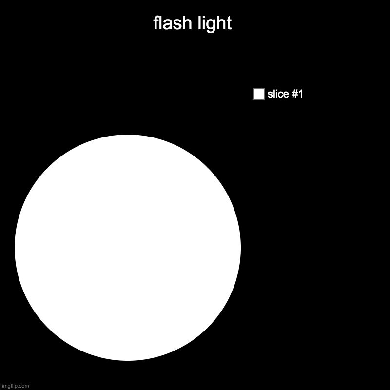 flash light | | image tagged in charts,pie charts | made w/ Imgflip chart maker