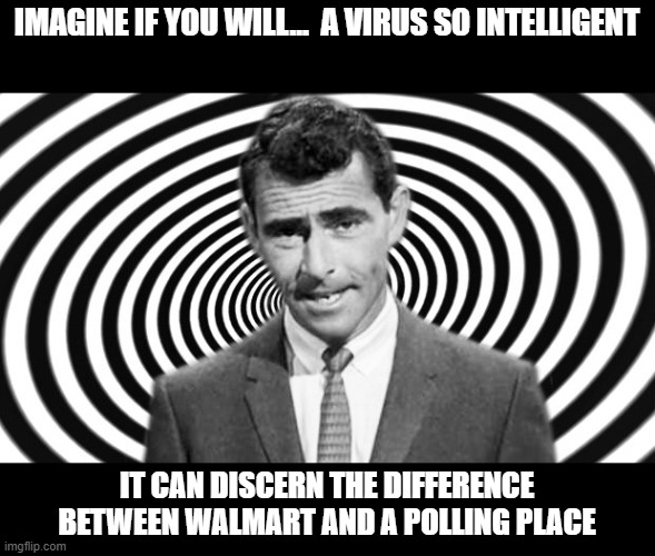 IMAGINE IF YOU WILL...  A VIRUS SO INTELLIGENT; IT CAN DISCERN THE DIFFERENCE BETWEEN WALMART AND A POLLING PLACE | image tagged in coronavirus | made w/ Imgflip meme maker