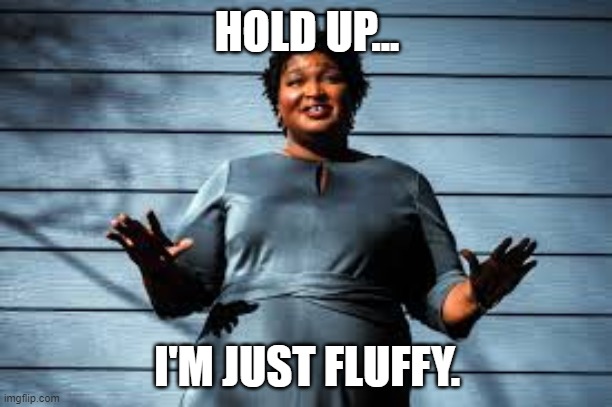 HOLD UP... I'M JUST FLUFFY. | made w/ Imgflip meme maker