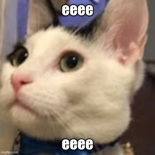 eeee | eeee; eeee | image tagged in le cat | made w/ Imgflip meme maker