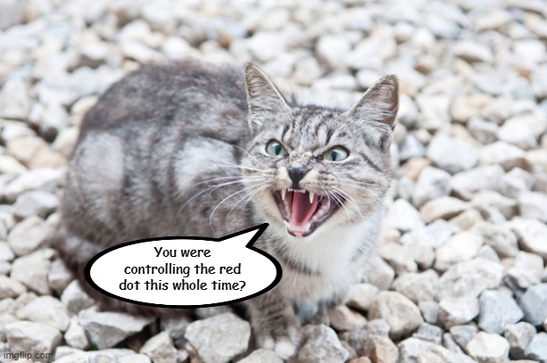 Hissing Cat | You were controlling the red dot this whole time? | image tagged in hissing cat,memes,cats | made w/ Imgflip meme maker