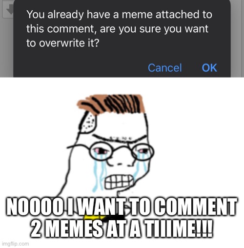Can I please post 2 memes in a comment? | NOOOO I WANT TO COMMENT 2 MEMES AT A TIIIME!!! | image tagged in noooo you can't just,funny,memes,imgflip,meanwhile on imgflip,imgflip humor | made w/ Imgflip meme maker