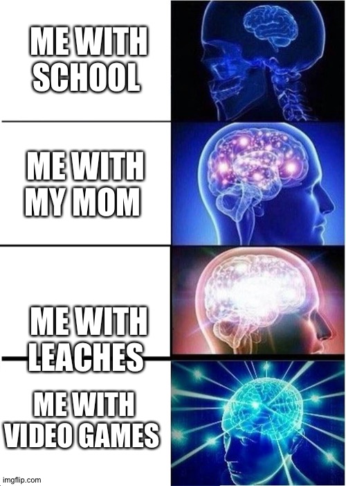 Expanding Brain | ME WITH SCHOOL; ME WITH MY MOM; ME WITH LEACHES; ME WITH VIDEO GAMES | image tagged in memes,expanding brain | made w/ Imgflip meme maker