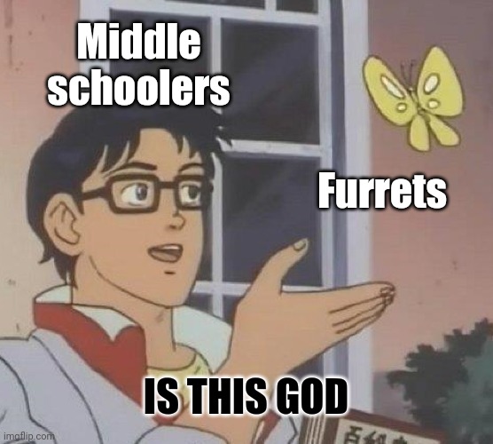 Pray | Middle schoolers; Furrets; IS THIS GOD | image tagged in memes,is this a pigeon,furret,middle school,god | made w/ Imgflip meme maker