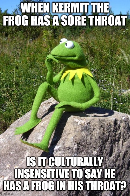 Words are hard in the triggered 2020s | WHEN KERMIT THE FROG HAS A SORE THROAT; IS IT CULTURALLY INSENSITIVE TO SAY HE HAS A FROG IN HIS THROAT? | image tagged in kermit-thinking | made w/ Imgflip meme maker