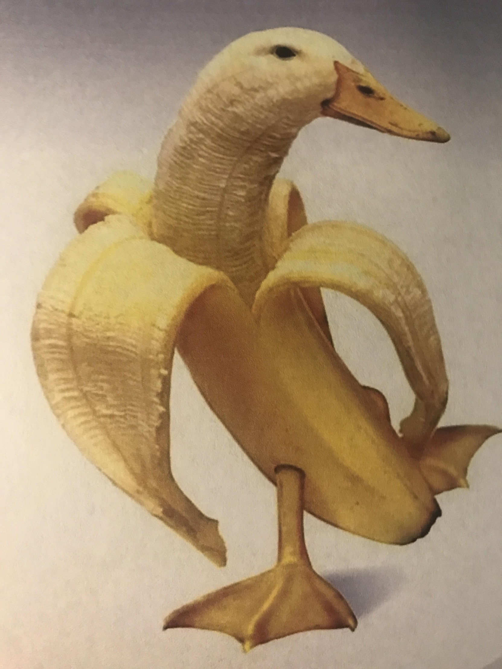 Sticker Banana Duck Meme