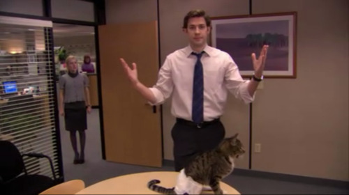 Jim with a cat Blank Meme Template