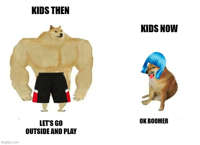 kids ow a days | KIDS THEN; KIDS NOW; OK BOOMER; LET'S GO OUTSIDE AND PLAY | image tagged in meme,doge | made w/ Imgflip meme maker