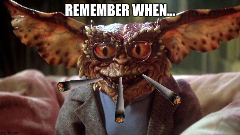 Gremlins by Steven Spielberg | REMEMBER WHEN... | image tagged in gremlin | made w/ Imgflip meme maker