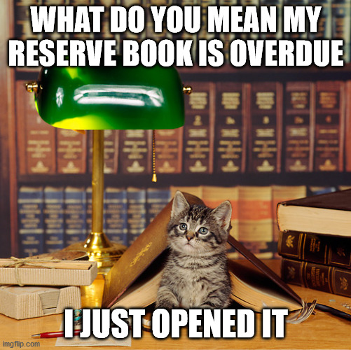 library kitten | WHAT DO YOU MEAN MY RESERVE BOOK IS OVERDUE; I JUST OPENED IT | image tagged in kitten,library,books | made w/ Imgflip meme maker