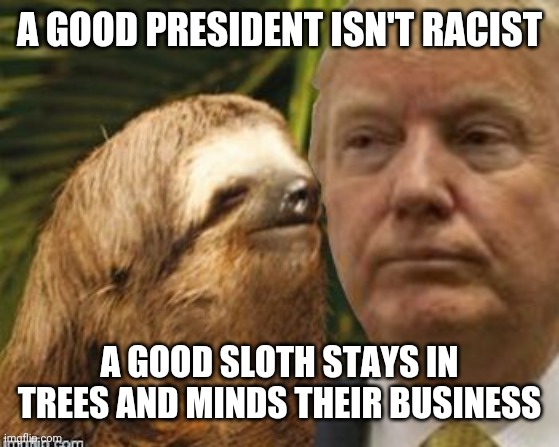 Political advice sloth | A GOOD PRESIDENT ISN'T RACIST; A GOOD SLOTH STAYS IN TREES AND MINDS THEIR BUSINESS | image tagged in political advice sloth | made w/ Imgflip meme maker