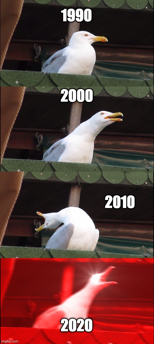 crazyness | 1990; 2000; 2010; 2020 | image tagged in memes,inhaling seagull | made w/ Imgflip meme maker