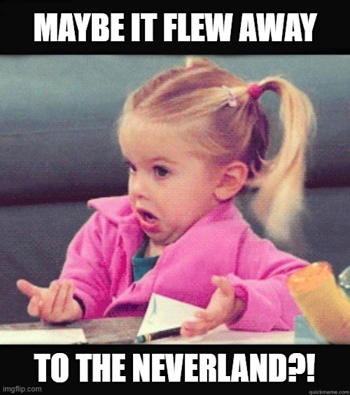 MAYBE IT FLEW AWAY TO THE NEVERLAND?! | image tagged in who knows | made w/ Imgflip meme maker
