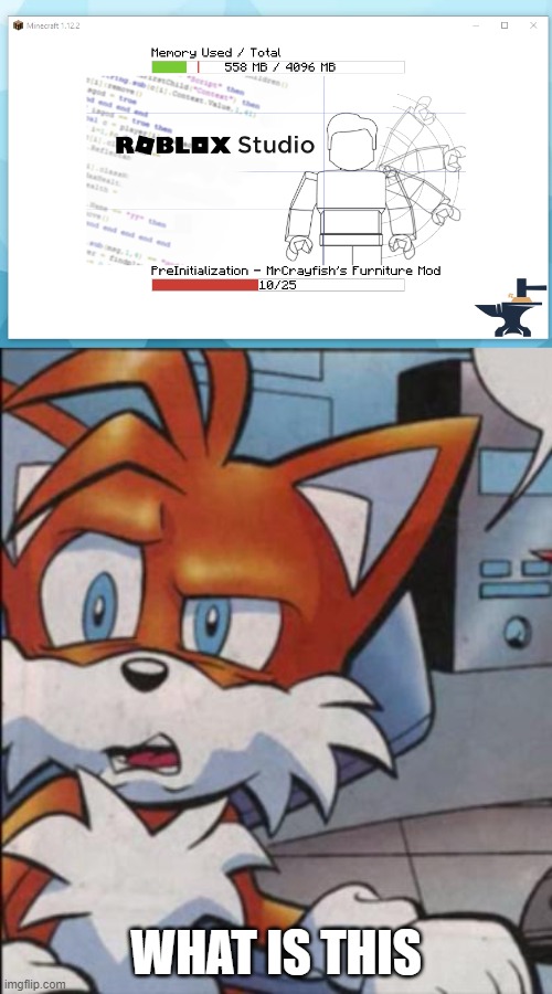 WHAT IS THIS MADNESSSSS | WHAT IS THIS | image tagged in tails wtf | made w/ Imgflip meme maker