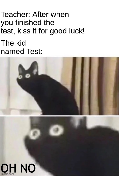 My name is Test |  Teacher: After when you finished the test, kiss it for good luck! The kid named Test:; OH NO | image tagged in oh no black cat | made w/ Imgflip meme maker