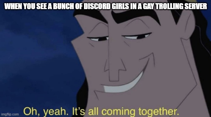 It's all coming together | WHEN YOU SEE A BUNCH OF DISCORD GIRLS IN A GAY TROLLING SERVER | image tagged in it's all coming together | made w/ Imgflip meme maker
