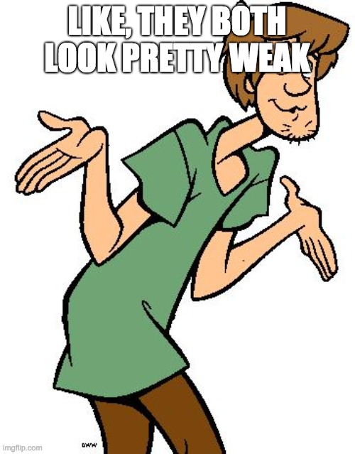 Shaggy from Scooby Doo | LIKE, THEY BOTH LOOK PRETTY WEAK | image tagged in shaggy from scooby doo | made w/ Imgflip meme maker