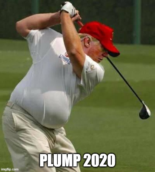 PLUMP 2020 | PLUMP 2020 | image tagged in trump golf gut,trump 2020,election 2020,trump | made w/ Imgflip meme maker