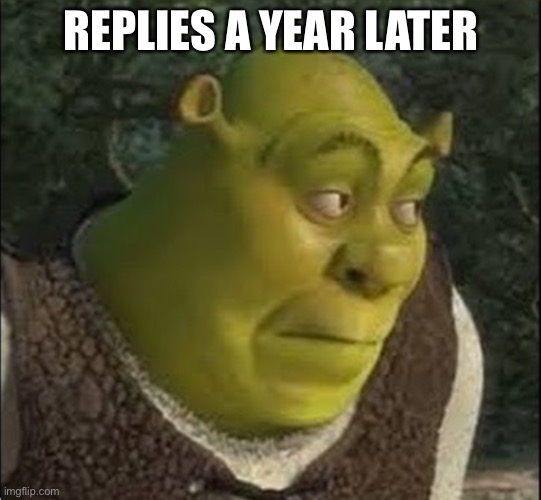 REPLIES A YEAR LATER | made w/ Imgflip meme maker