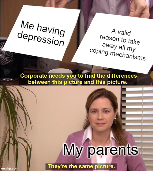 They're The Same Picture | Me having depression; A valid reason to take away all my coping mechanisms; My parents | image tagged in memes,they're the same picture | made w/ Imgflip meme maker