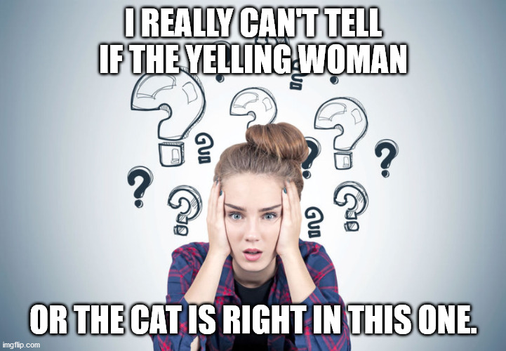 Total confusion | I REALLY CAN'T TELL IF THE YELLING WOMAN OR THE CAT IS RIGHT IN THIS ONE. | image tagged in total confusion | made w/ Imgflip meme maker