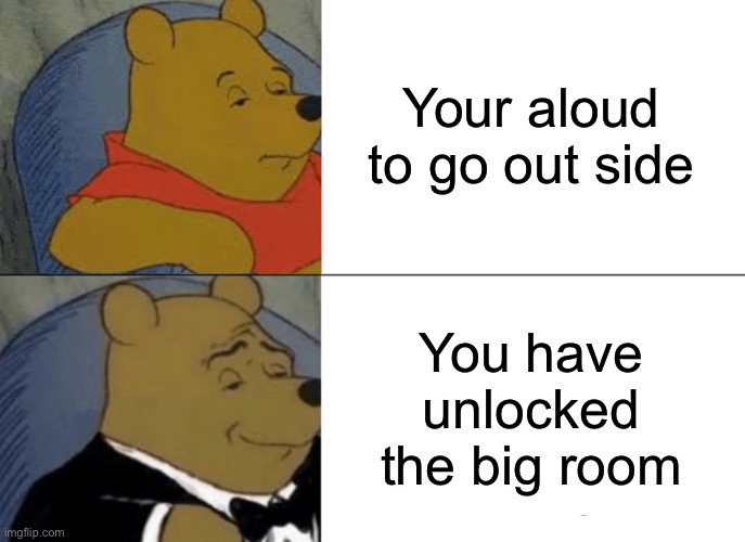 Cats going outside for the first time | Your aloud to go out side; You have unlocked the big room | image tagged in memes,tuxedo winnie the pooh | made w/ Imgflip meme maker