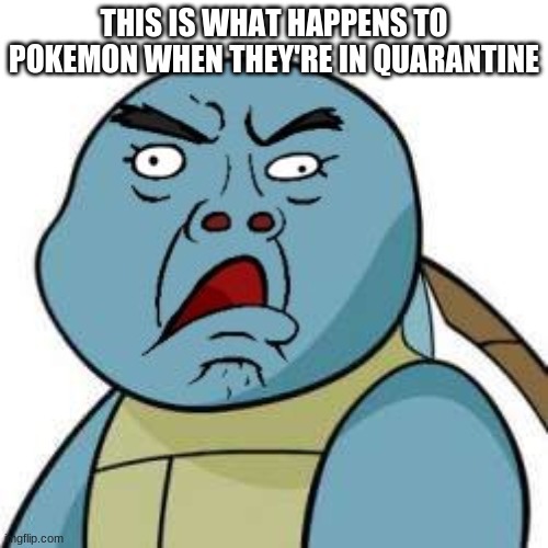 Bored pokemon | THIS IS WHAT HAPPENS TO POKEMON WHEN THEY'RE IN QUARANTINE | image tagged in what hapens to them in quarantine | made w/ Imgflip meme maker