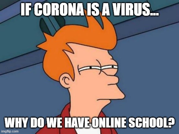 I know... dont hate it boi | IF CORONA IS A VIRUS... WHY DO WE HAVE ONLINE SCHOOL? | image tagged in memes,futurama fry | made w/ Imgflip meme maker