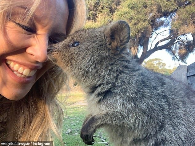 With a wombat. Cute one! | image tagged in kylie wombat,meanwhile in australia,australia,australians,zoo,cute | made w/ Imgflip meme maker