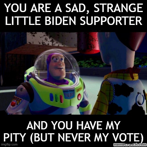 YOU ARE A SAD, STRANGE LITTLE BIDEN SUPPORTER; AND YOU HAVE MY PITY (BUT NEVER MY VOTE) | made w/ Imgflip meme maker