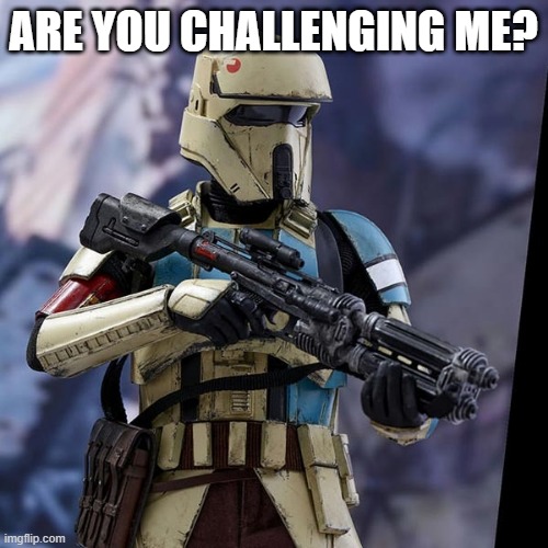 ShoreTrooper | ARE YOU CHALLENGING ME? | image tagged in shoretrooper | made w/ Imgflip meme maker