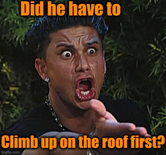 DJ Pauly D Meme | Did he have to Climb up on the roof first? | image tagged in memes,dj pauly d | made w/ Imgflip meme maker