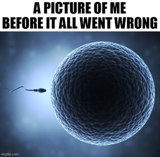 sperm and egg Memes & GIFs - Imgflip