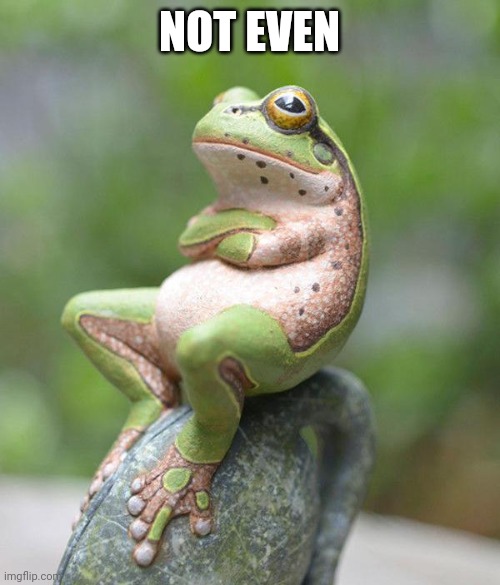 nah frog | NOT EVEN | image tagged in nah frog | made w/ Imgflip meme maker