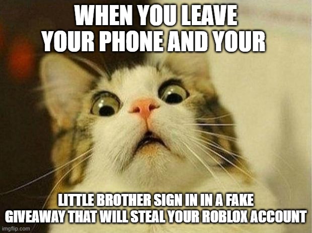 Scared Cat | WHEN YOU LEAVE YOUR PHONE AND YOUR; LITTLE BROTHER SIGN IN IN A FAKE GIVEAWAY THAT WILL STEAL YOUR ROBLOX ACCOUNT | image tagged in memes,scared cat | made w/ Imgflip meme maker