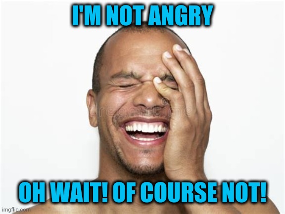 Laughing guy | I'M NOT ANGRY OH WAIT! OF COURSE NOT! | image tagged in laughing guy | made w/ Imgflip meme maker
