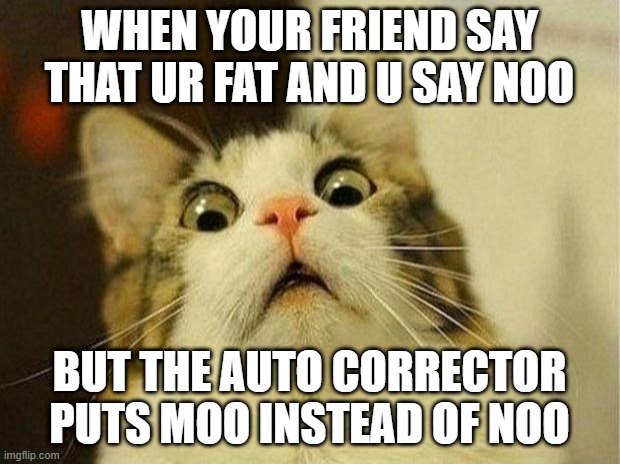 Scared Cat | WHEN YOUR FRIEND SAY THAT UR FAT AND U SAY NOO; BUT THE AUTO CORRECTOR PUTS MOO INSTEAD OF NOO | image tagged in memes,scared cat | made w/ Imgflip meme maker
