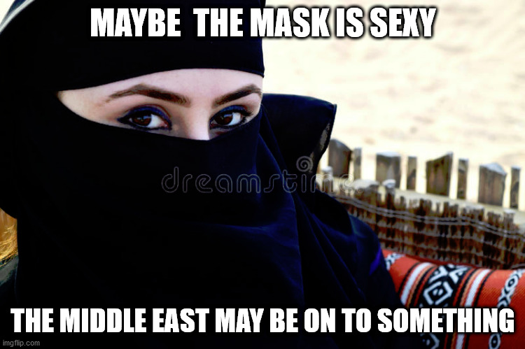 Mask | MAYBE  THE MASK IS SEXY; THE MIDDLE EAST MAY BE ON TO SOMETHING | image tagged in face mask | made w/ Imgflip meme maker