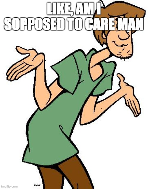 Shaggy from Scooby Doo | LIKE, AM I SOPPOSED TO CARE MAN | image tagged in shaggy from scooby doo | made w/ Imgflip meme maker