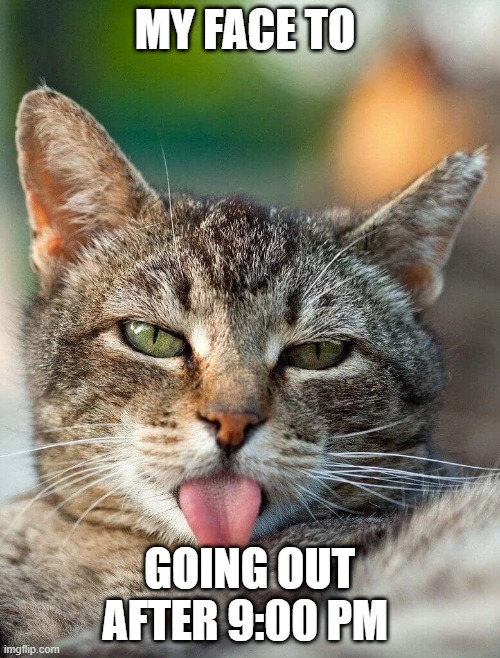 Bleh | MY FACE TO; GOING OUT AFTER 9:00 PM | image tagged in bleh | made w/ Imgflip meme maker