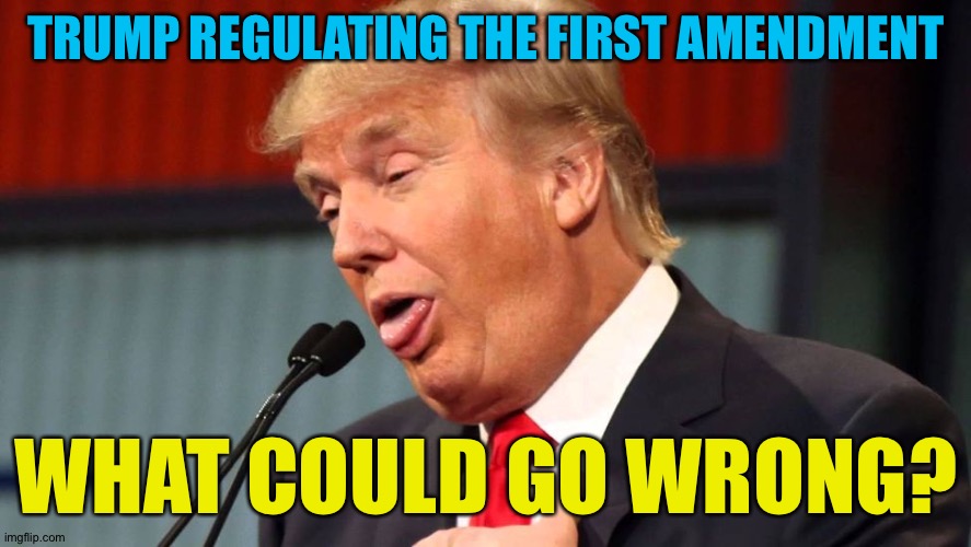 Stupid trump | TRUMP REGULATING THE FIRST AMENDMENT WHAT COULD GO WRONG? | image tagged in stupid trump | made w/ Imgflip meme maker
