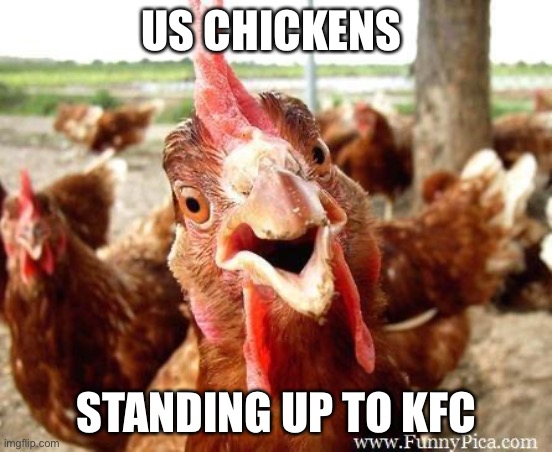 Goty | US CHICKENS; STANDING UP TO KFC | image tagged in chicken,gfdsa | made w/ Imgflip meme maker