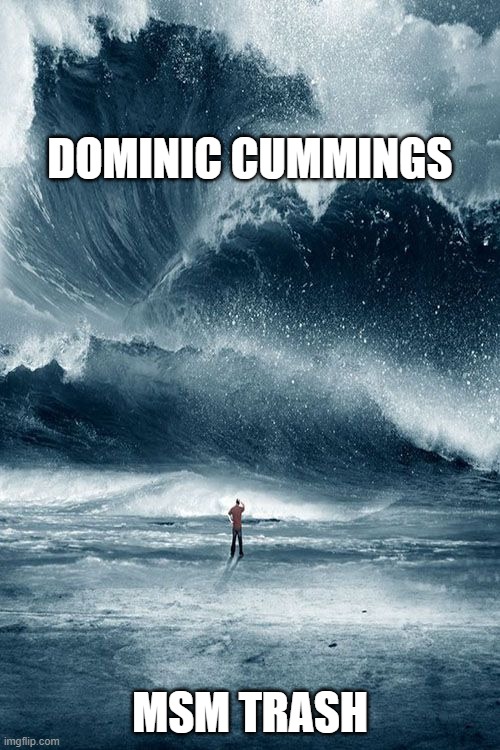 Tidal Wave | DOMINIC CUMMINGS; MSM TRASH | image tagged in tidal wave | made w/ Imgflip meme maker