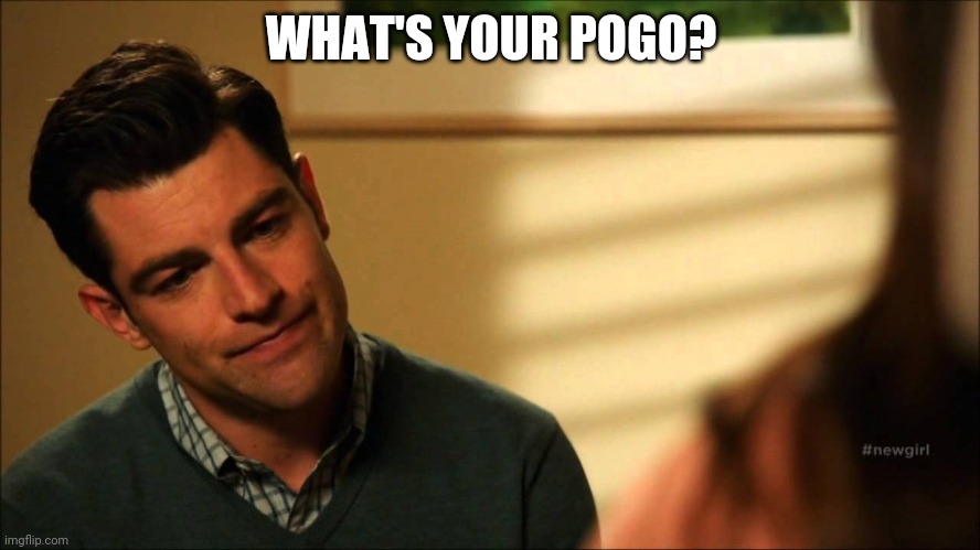 A pogo is what your friends say about you behind your back. Everyone has one... | WHAT'S YOUR POGO? | image tagged in schmidt new girl,pogo,coolish | made w/ Imgflip meme maker